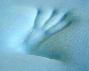 4LB Memory Foam